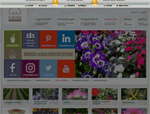 Tablet Screenshot of orokzold.hu